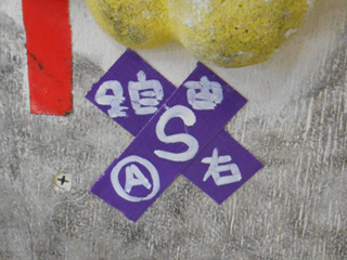 DSCN2455