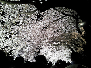20150402_191059