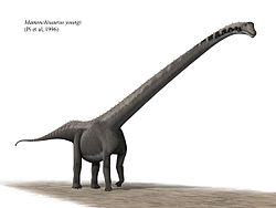 250px-Mamenchisaurus_youngi_steveoc_86