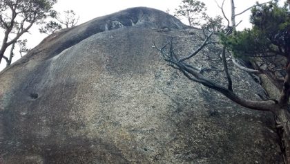 4p