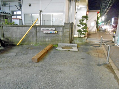 DSCN0036