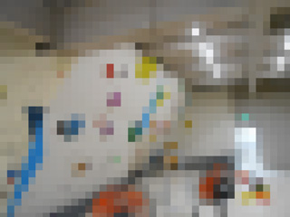 DSCN2386