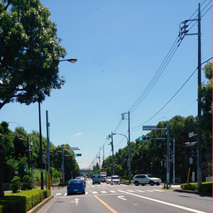 DSC_0417 (1)