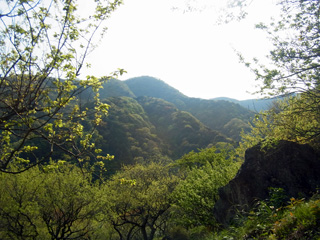 RIMG0143