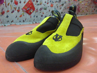 RIMG0881